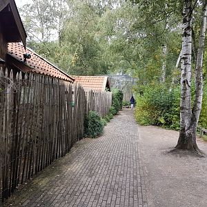 Parthway to the monkeys