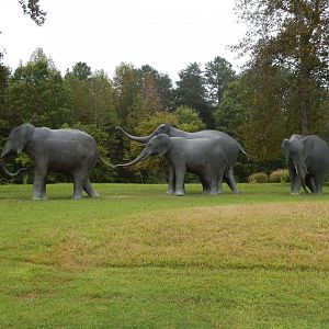 9/23/2018 - Elephant Statues