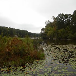 9/23/2018 - Cattail Trail Marsh