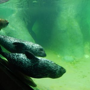 9/23/2018 - Making Laps