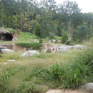 9/23/2018 - Newer Polar Bear Habitat