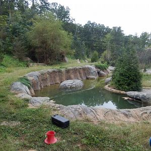 9/23/2018 - Newer Polar Bear Habitat