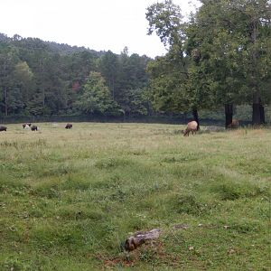 9/23/2018 - Prairie Habitat
