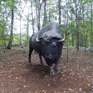 9/23/2018 - Bison Statue