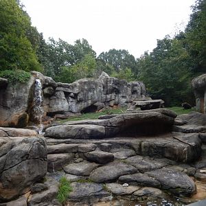 9/23/2018 - Grizzly Bear Exhibit