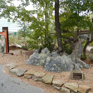 9/23/2018 - Ocelot Statues