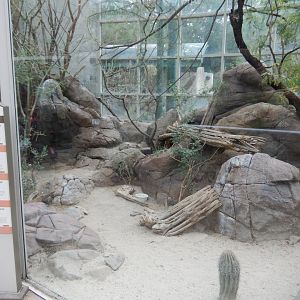 9/23/2018 - Mixed-Species Habitat