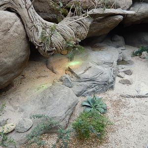 9/23/2018 - Open-Topped Reptile Habitat