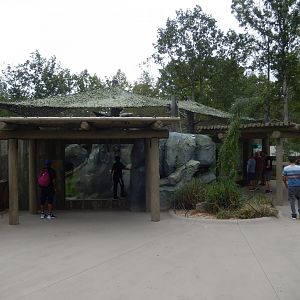 9/23/2018 - Ocelot Complex