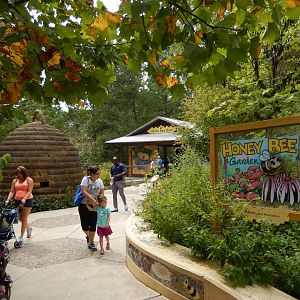 9/23/2018 - Honey Bee Garden