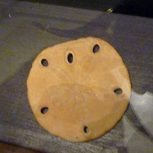 One more error at aquarium "museum"