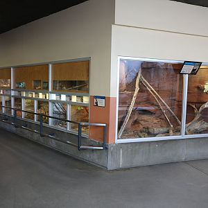 small animal building