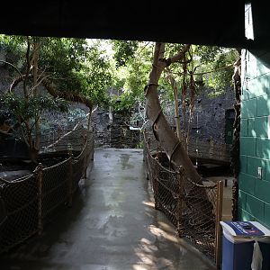 aviary in small animal building