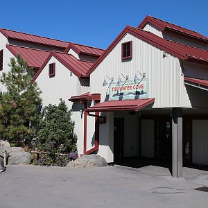 Rocky Shores exhibit