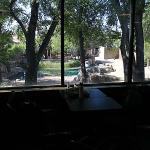 view from cafe to elephants