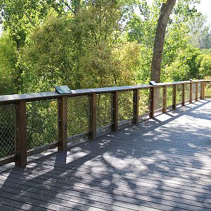 boardwalk over Emigration Creek