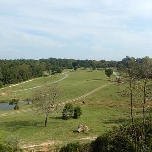 9/23/2018 - 40-Acre(!) Savanna