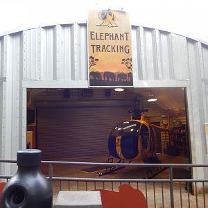 9/23/2018 - Elephant Tracking Station