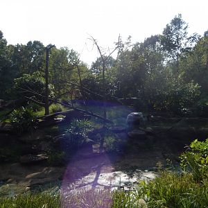 9/23/2018 - Lemur Island