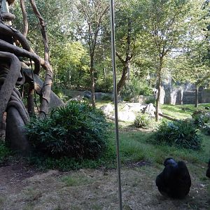 9/23/2018 - Kitera Forest