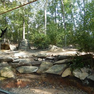 9/23/2018 - Red River Hog Habitat