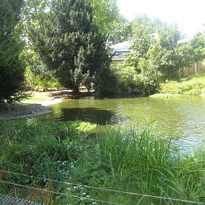 Cologne Zoo - European/North American waterfowl exhibit