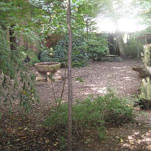 Cologne Zoo - Owl monastery