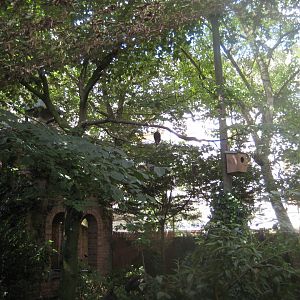 Cologne Zoo - Owl monastery