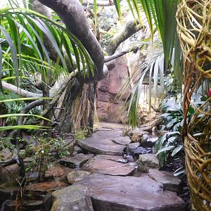 Walkthrough Rainforest enclosure