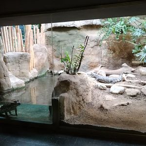 Terrari (reptile house)