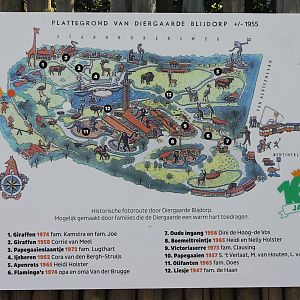 Plan Blijdorp - around 1955