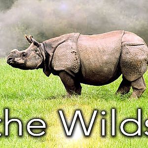 Zoo Tours: The Wilds: The First Pasture