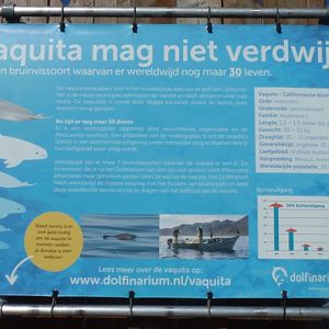 Signage about the current Vaquita extinction