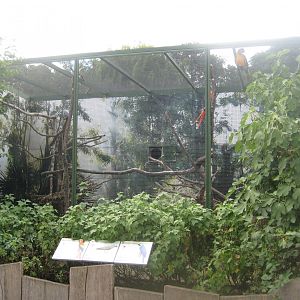 Cologne Zoo - Flight show aviary