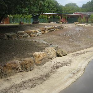 Cologne Zoo - Banteng exhibit