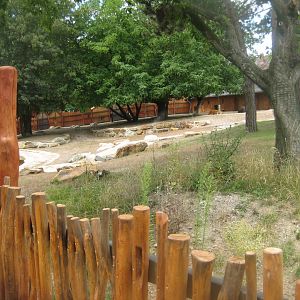 Cologne Zoo - Banteng exhibit