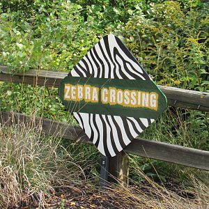 Possible Pride of Africa Teaser Sign