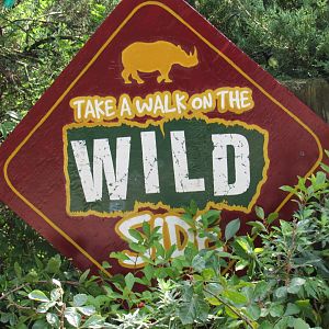 Possible Pride of Africa Teaser Sign