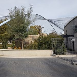 Finished Gelada-enclosure