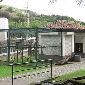 Povoacao Zoo, Sao Miguel, Azores. Europes most westerly zoo?