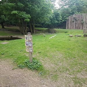 Swamp wallaby - Emu - Red kangaroo-signs