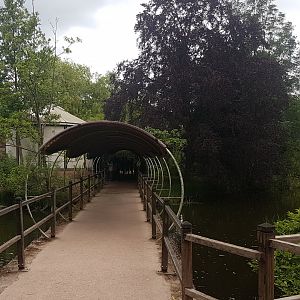 Bridge toward Koala-house