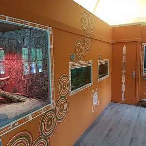 Aquariums and Terrariums inside Australia-house