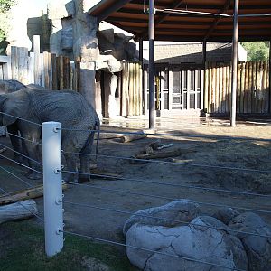 elephant exhibit (small)