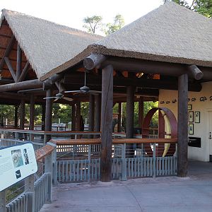 elephant viewing area