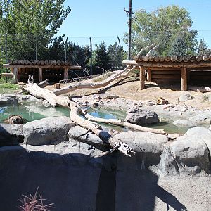 grizzly bear exhibit
