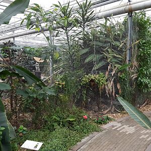 Wire-mesh between butterfly and bird-part