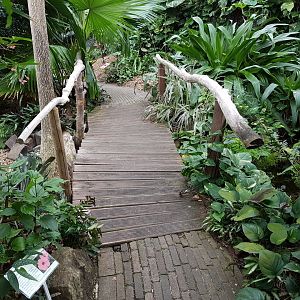 Small bridge