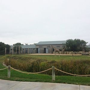 Giraffe Exhibit