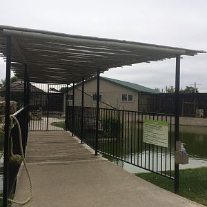 Bridge to Lemur Island